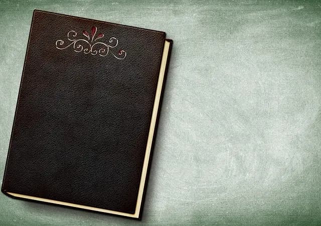 5 conseils pour optimiser vos études financières efficacement